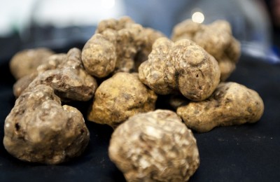 Truffle in Buzet - the city of truffles