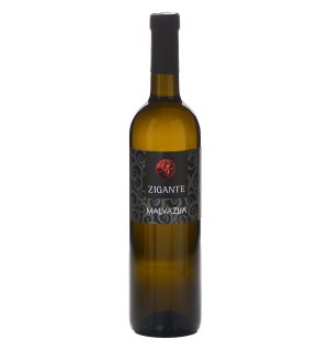 Malvasia Istrian, Vina Zigante