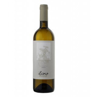 Malvasia Livio Benvenuti (ex Anno Domini), Benvenuti Vina